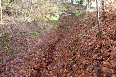 
The middle period of the Swffryd levels, January 2011